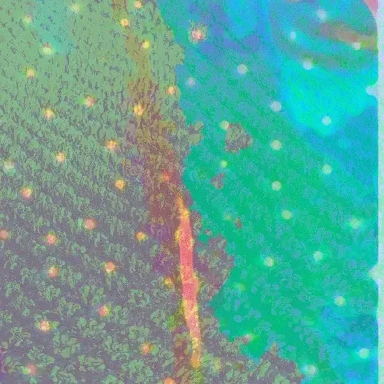 0634457164956