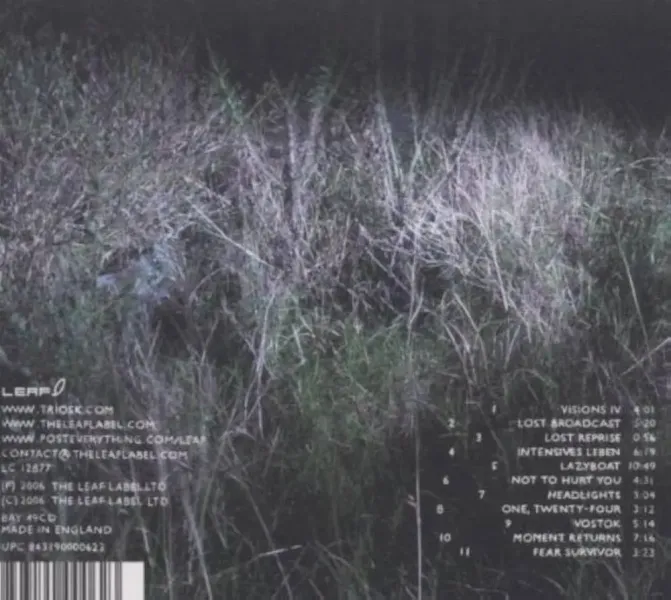 510WyxbYDTL._UF1000,1000_QL80_