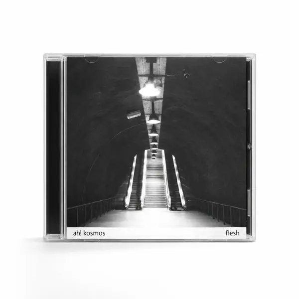 AH! KOSMOS - FLESH AI front