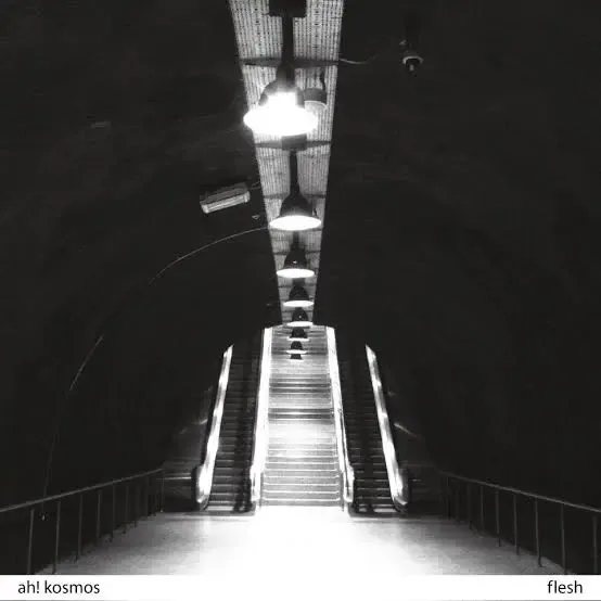 AH! KOSMOS - FLESH