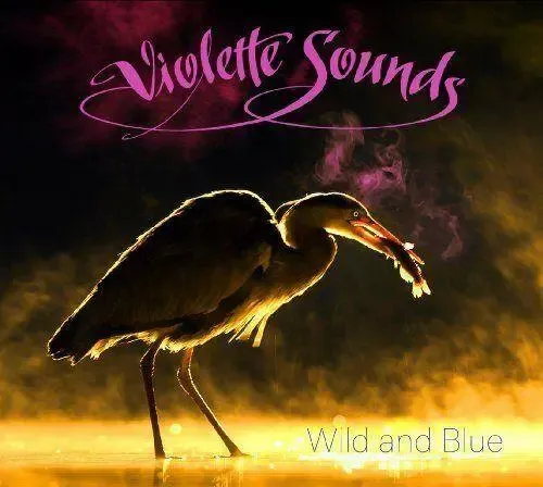 pol_pl_Violette-Sounds-Wild-And-Blue-47406_1