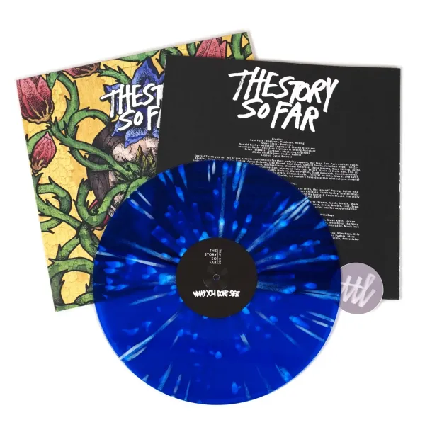 storysofar-whatyou-coloredvinyl-3