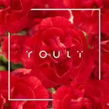 youli_youli