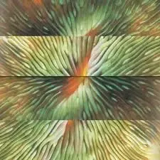 0061297790845