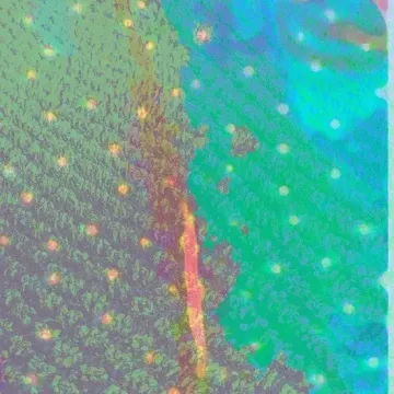 0634457164956
