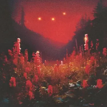 4268078-3169839