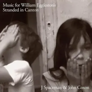 4372718-3275856__40134