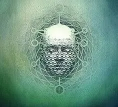 7090014392263