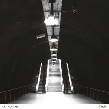 AH! KOSMOS - FLESH