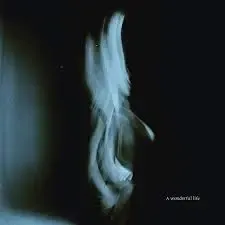 images - 2026-05-11T134302.555