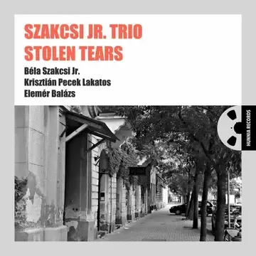 Szakcsi_Jr_Trio_-_Stolen_Tears.jpg
