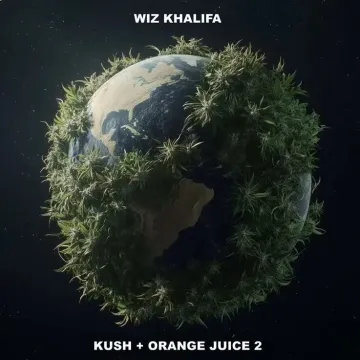 wiz-khalifa-kush-orange-juice-2-vinyl-black-gold-rapbay-cover__50462